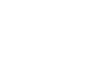 THE KINO